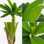Artificial Banana Plant ( 5ft Tall ) with Black Plastic Pot