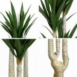 Artificial Yucca Plant ( 5ft tall ) with Black Plastic Pot