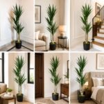Artificial Yucca Plant ( 5ft tall ) with Black Plastic Pot