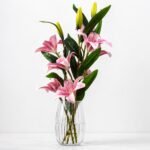 Elegant Lily Stem ( Set of 2 Pcs )
