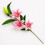 Elegant Lily Stem ( Set of 2 Pcs )