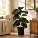 Ficus Elastica (Artificial Rubber Plant) – 3 ft ( with Black Plastic Pot )
