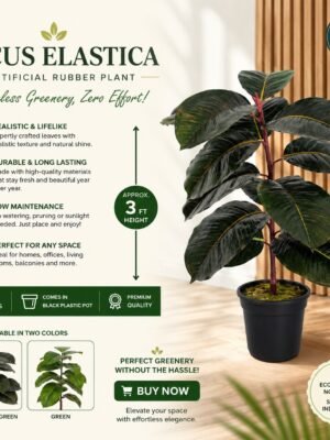 Ficus Elastica (Artificial Rubber Plant) – 3 ft ( with Black Plastic Pot )-img2