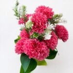 Hot Pink Chrysanthemum Bouquet ( Set of 4 Pcs )