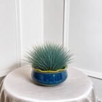 Ocean Blue Scalloped Ceramic Planter Set (Set of 3)