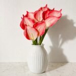 Premium Calla Lily ( Set of 5 Pcs )