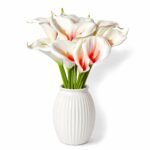 Premium Calla Lily ( Set of 5 Pcs )