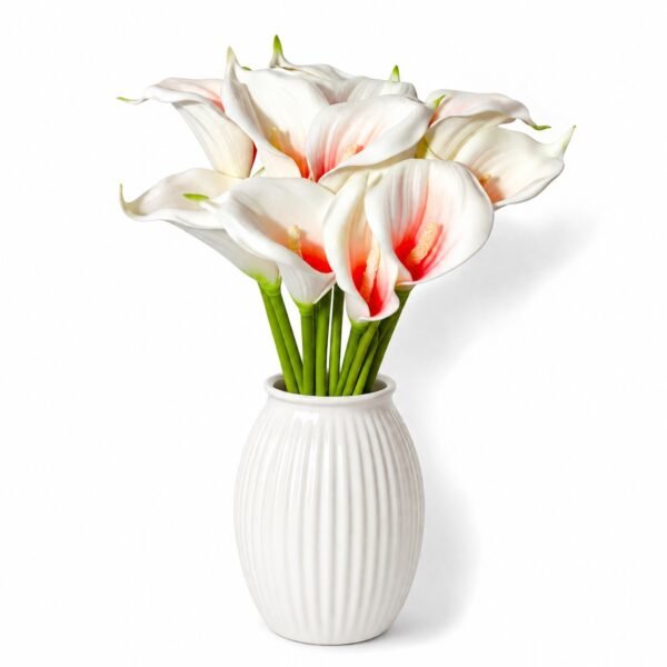 Premium Calla Lily ( Set of 5 Pcs )