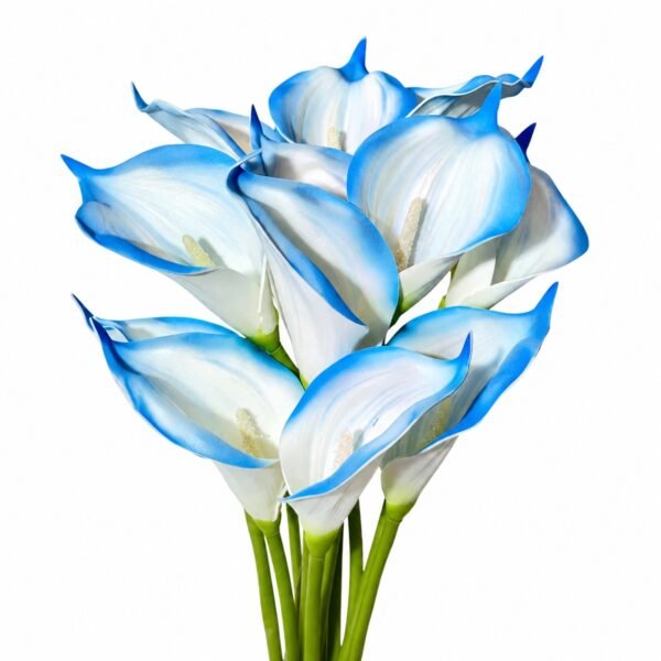 Premium Calla Lily ( Set of 5 Pcs )