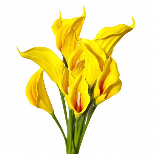 Premium Calla Lily ( Set of 5 Pcs )
