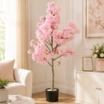 Premium Cherry Blossom Tree with Pot ( 5 ft )