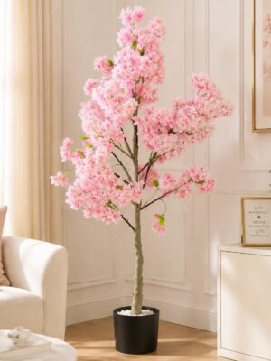 Premium Cherry Blossom Tree with Pot ( 5 ft )