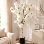 Premium Cherry Blossom Tree with Pot ( 5 ft )