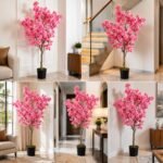 Premium Cherry Blossom Tree with Pot ( 5 ft )