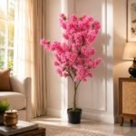 Premium Cherry Blossom Tree with Pot ( 5 ft )