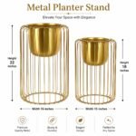 ✨ Premium Gold Metal Plant Stand (Plant Not Included) ✨