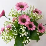 Blossom Charm Daisy Spray – 9 Heads ( Set of 4 Pcs )